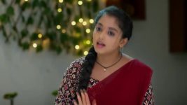 Salangai Oli (Zee Tamil) S01 E94 14th October 2025