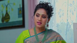 Salangai Oli (Zee Tamil) S01 E95 15th October 2025
