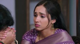 Shravani Subramanya S01 E426 20th October 2025
