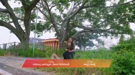 Shravani Subramanya S01 E435 30th October 2025