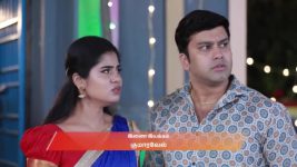 Varisu (Zee Tamil) S01 E88 14th October 2025