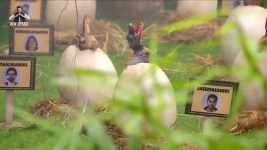 Bigg Boss (Colors tv) S19 E40 BBHin Day 39: Dino Park - Survive for Captaincy!