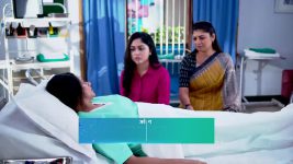 Chirosakha (Star Jalsha) S01 E272 Borsha's Sharp Sting