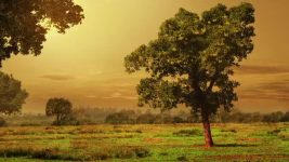 Dharm Yoddha Garud S01E175 Sati Ka Janam Full Episode