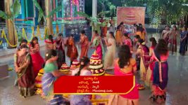 Illu Illalu Pillalu (Star Maa) S01 E285 Narmada's Happy Moment