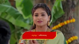 Illu Illalu Pillalu (Star Maa) S01 E289 Bhagyam, Bhadravati's Conspiracy