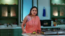 Laxmichya Paaulanni S01 E508 Naina, Rohini's Sinister Plan