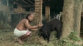 Maarigallu S01 E02 31st October 2025 Maarigallu S01 E02 31st October 2025