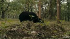 Maarigallu S01 E07 31st October 2025 Maarigallu S01 E07 31st October 2025