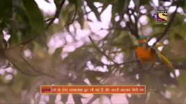 Mere Sai S01E163 The Disciple Full Episode