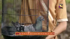 Mere Sai S01E224 The Gift Of Life Full Episode