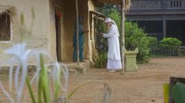 Mere Sai S01E699 Amba Rejoices Joshi Family’s Downfall Full Episode