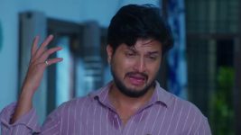 Ninnu Kori (Star Maa) S01 E428 Virat Uncovers Shalini's Misdeeds