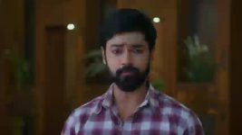 Ninnu Kori (Star Maa) S01 E438 Virat's Attempt to Expose Shalini