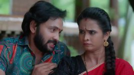 Nuvvunte Naa Jathagaa (Star maa) S01 E227 Devudamma Demands Deva's Arrest