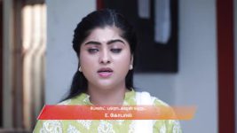 Varisu (Zee Tamil) S01 E91 17th October 2025