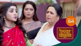 Vrindabana Bilasini S01 E54 25th October 2025