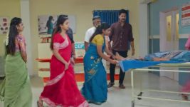 Anna (Tamil) S01 E817 9th November 2025