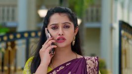 Annapoorna S01 E1015 18th November 2025