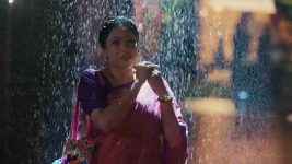 Anupamaa S01 E1843 Prem, Rahi Happy for Anupama