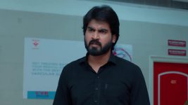 Chamanthi (Zee Telugu) S01 E269 5th November 2025