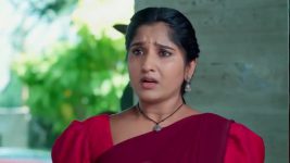 Chamanthi (Zee Telugu) S01 E275 13th November 2025