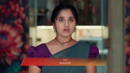 Chamanthi (Zee Telugu) S01 E283 23rd November 2025