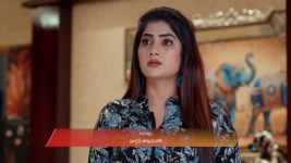 Chamanthi (Zee Telugu) S01 E289 29th November 2025