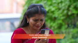 Chinnan Siru Kiliye S01 E73 4th November 2025
