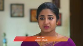 Chinnan Siru Kiliye S01 E77 10th November 2025