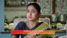 Chinnan Siru Kiliye S01 E86 21st November 2025