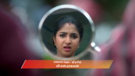 Chinnan Siru Kiliye S01 E91 28th November 2025