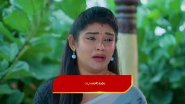 Chinni (Star Maa) S01 E424 Lohitha Manipulates Sriya