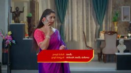 Chinni (Star Maa) S01 E436 Deva Alerts Nagavalli