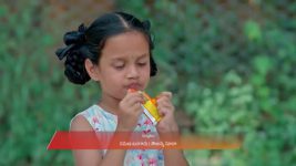 Dheerga Sumangli Bhava (Zee Telugu) S01 E183 5th November 2025