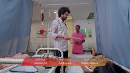 Dheerga Sumangli Bhava (Zee Telugu) S01 E188 11th November 2025