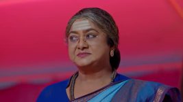 Dheerga Sumangli Bhava (Zee Telugu) S01 E191 14th November 2025
