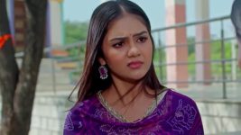 Dheerga Sumangli Bhava (Zee Telugu) S01 E197 21st November 2025