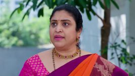 Ennallo Vechina Hrudayam (Zee telugu) S01 E254 19th November 2025