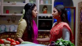 Ennallo Vechina Hrudayam (Zee telugu) S01 E255 20th November 2025