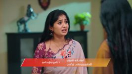 Gattimelam S01 E230 4th November 2025