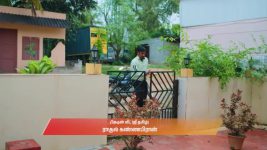 Gattimelam S01 E235 10th November 2025