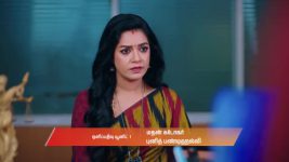 Gattimelam S01 E236 11th November 2025