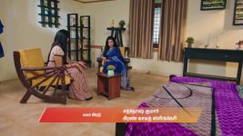 Gattimelam S01 E237 12th November 2025