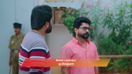 Gattimelam S01 E239 14th November 2025