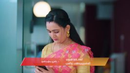 Gattimelam S01 E243 19th November 2025