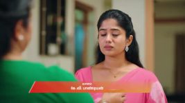 Gattimelam S01 E247 24th November 2025