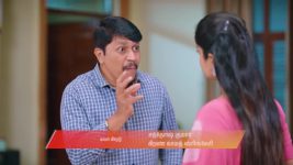 Gattimelam S01 E248 25th November 2025