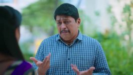 Gattimelam S01 E249 26th November 2025