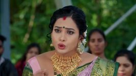 Gharana Mogudu (Zee Telugu) S01 E165 22nd November 2025